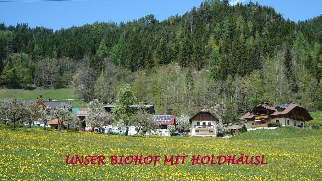 شقة Holdhaeusl سخلادميخ الغرفة الصورة